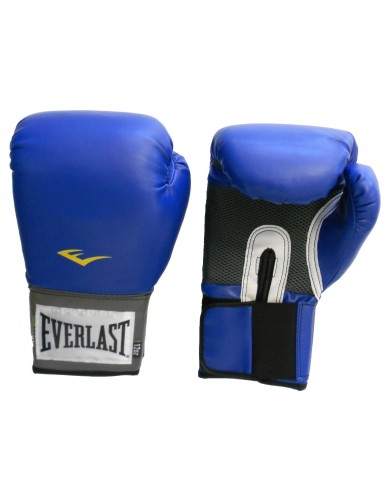 Gants de boxe Everlast "Pro style training"