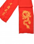 Ceinture kung-fu / wushu classique brodée