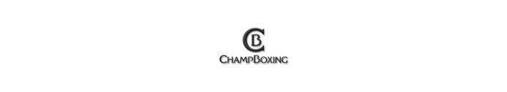 Champ Boxing